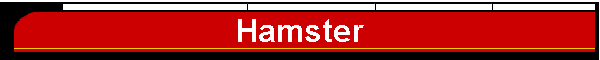 Hamster