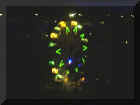 bild33.jpg (22462 Byte)