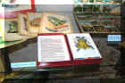 Bild30.jpg (80660 Byte)